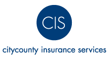 CIS Logo with Description