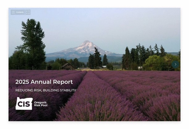 2025 Annual Report.jpg